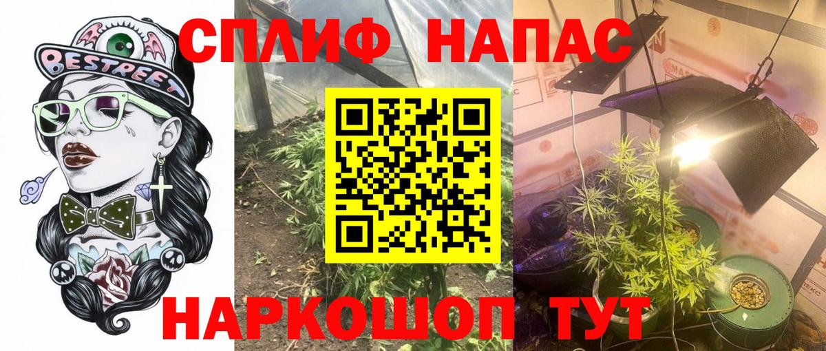 Каннабис Ganja Абакан